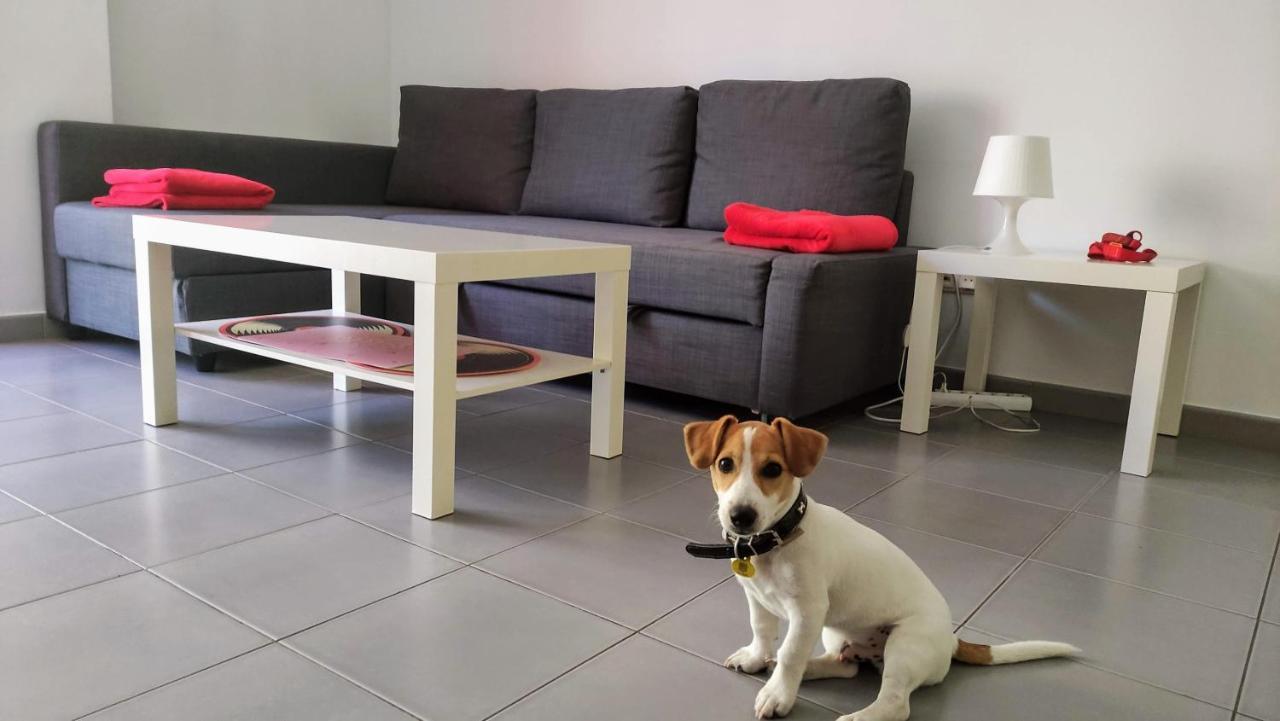Suitedreams - Feixa 41 Andorre-la-Vieille Extérieur photo